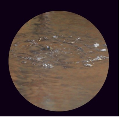 Yunomoto Hot Springs' high-concentration carbonated water. Large bubbles can be seen bubbling up everywhere.