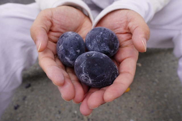 Black Eggs